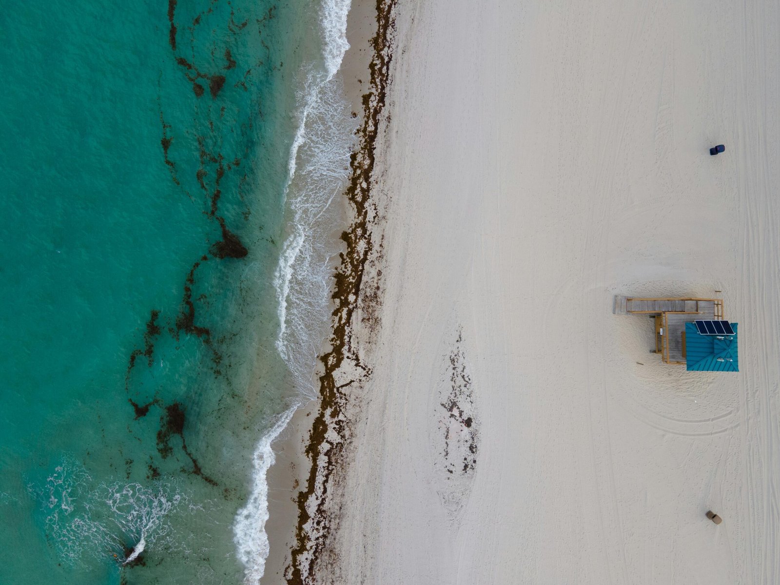 Enjoy the beautiful life in Brickell, Miami